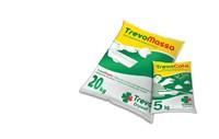 Gesso cola